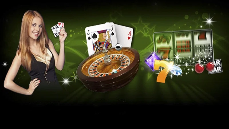 bai cao 1 Một số thông tin chung về bài cào