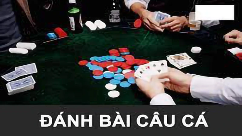 cach choi bai cau ca 1 Giới thiệu chung về bài câu cá